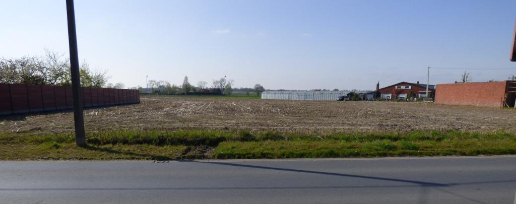 3 loten bouwgrond voor alleenstaande woningen, Oostkamp, Ruddervoorde, Ventes sans courtier, 500 à 1000 m²
