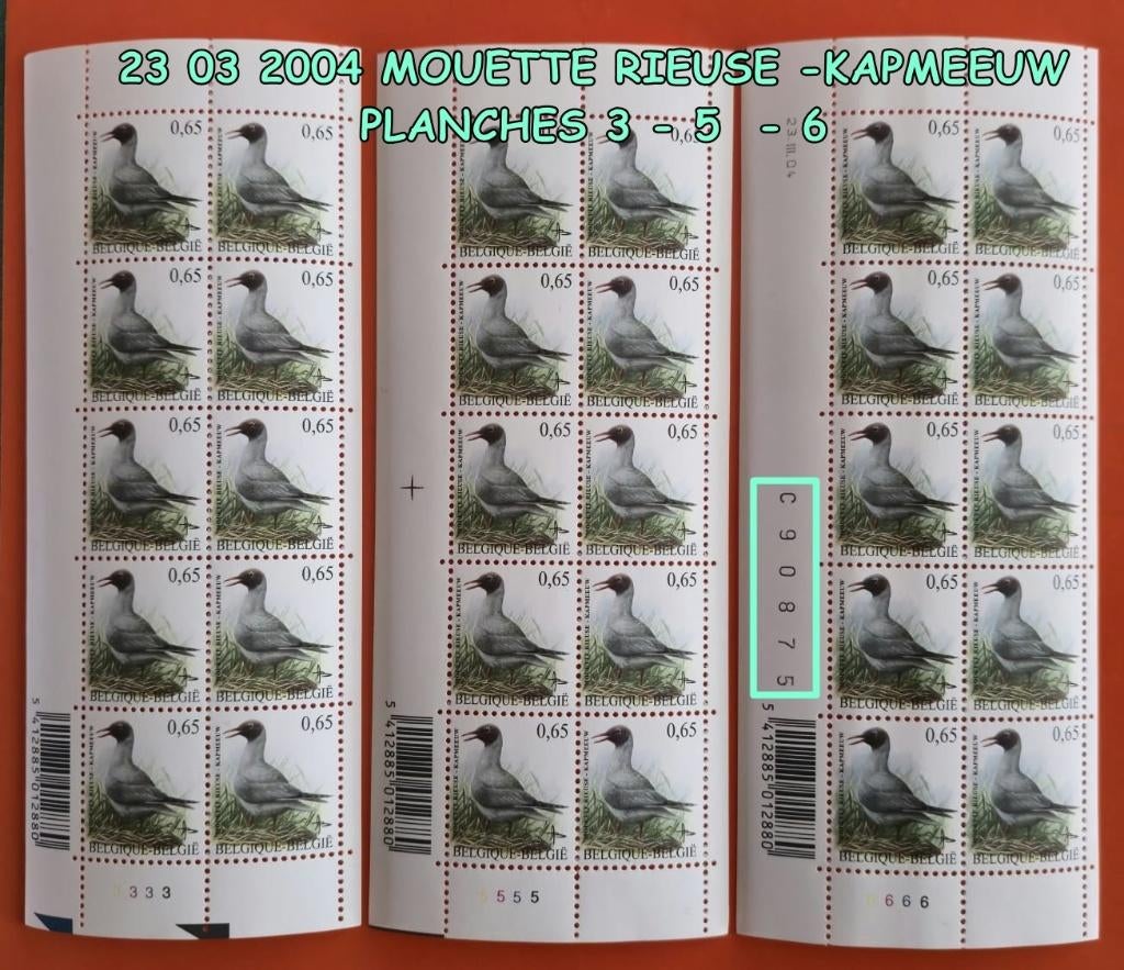 2004 *** 30 t MOUETTE RIEUSE -KAPMEEUW AVE NUMERO SERIE, Envoi