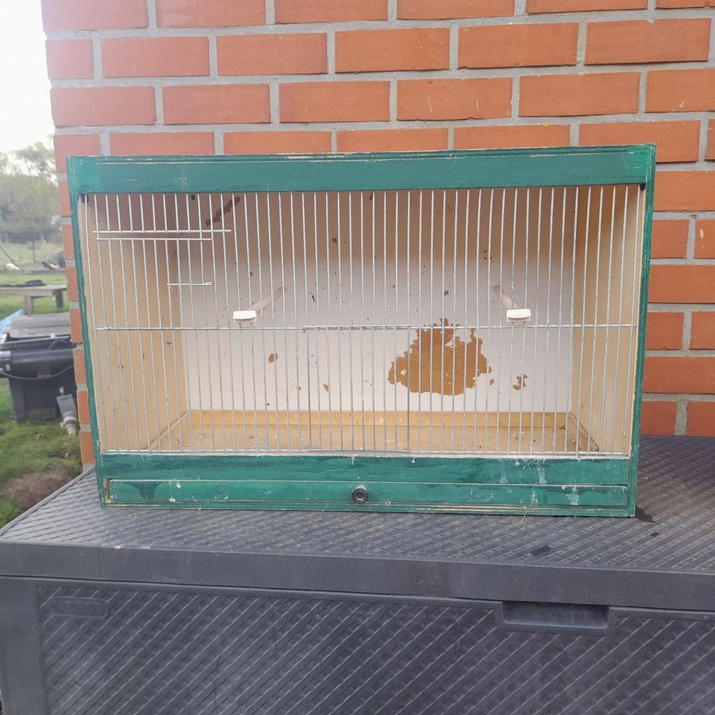 Kweekkooien, Enlèvement