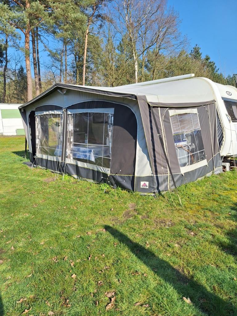 Dorema voortent., Enlèvement, Dorema