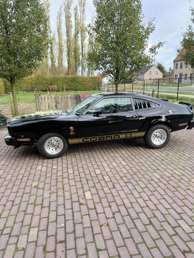 Ford Mustang cobra 2, Autos, Oldtimers & Ancêtres, Particulier, Achat, Ford