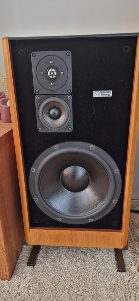 Magnat All Ribbon MSP-180. Gereviseerd in nieuwstaat., Audio, Tv en Foto, Luidsprekerboxen, Ophalen, Magnat