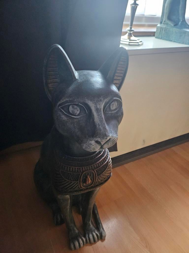 Katten beelden, Ophalen