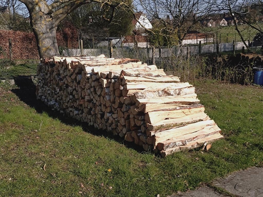 Brandhout berk, Tuin en Terras, Brandhout, Ophalen