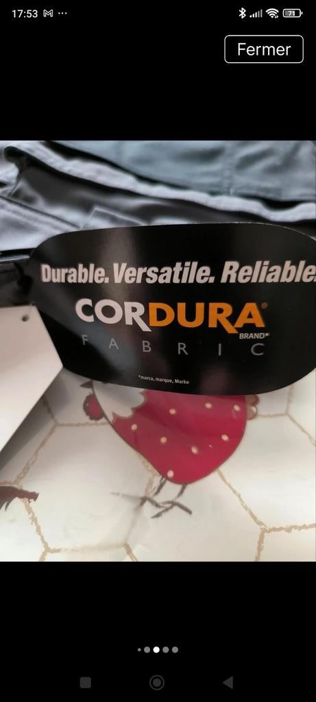 Short de travail Dassy, Enlèvement ou Envoi