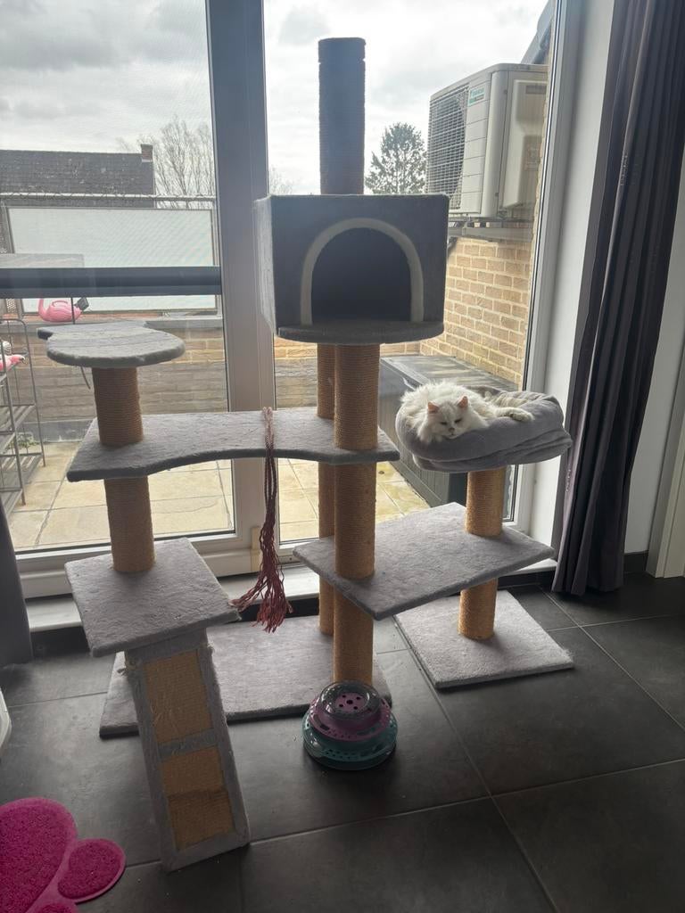 Grote krabpaal te koop, Dieren en Toebehoren, Ophalen, Gebruikt, Krabpaal