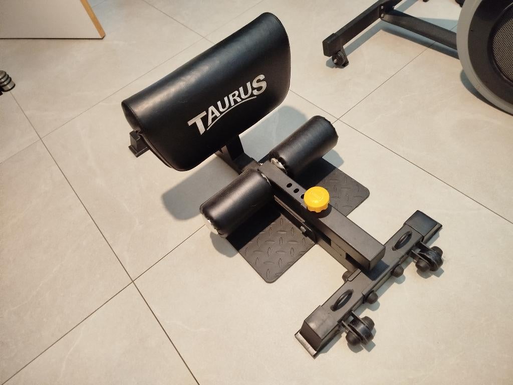 Taurus sissy squat, Sports & Fitness, Jambes, Centrale électrique, Enlèvement, Utilisé