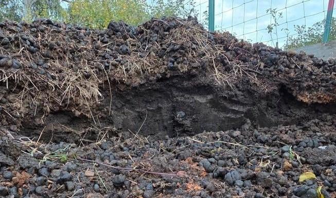 Mest - zuivere paardenmest gratis op te halen te Leuven., Enlèvement, Fumier