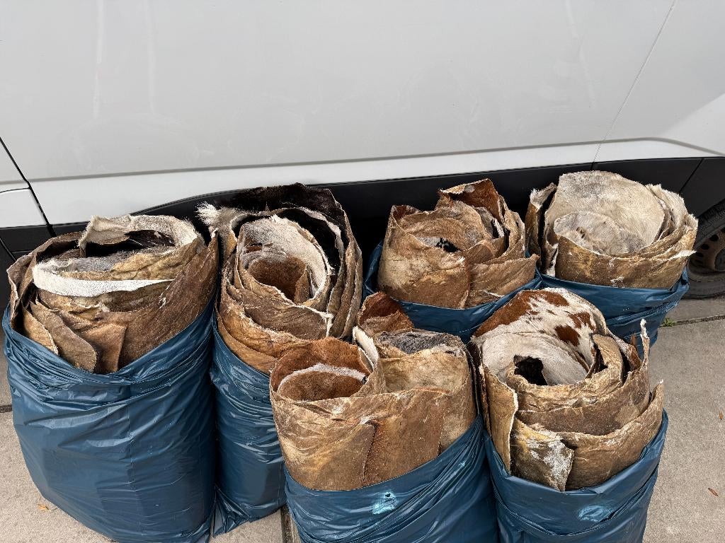 Volop geitenvellen verkrijgbaar, Ophalen of Verzenden, Nieuw, Melodische percussie