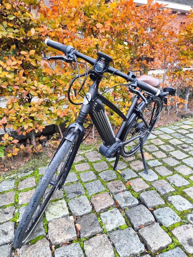 Speed pedelec cityzen Speed 380, Fietsen en Brommers, Elektrische fietsen, Ophalen of Verzenden, Gebruikt, 50 km per accu of meer