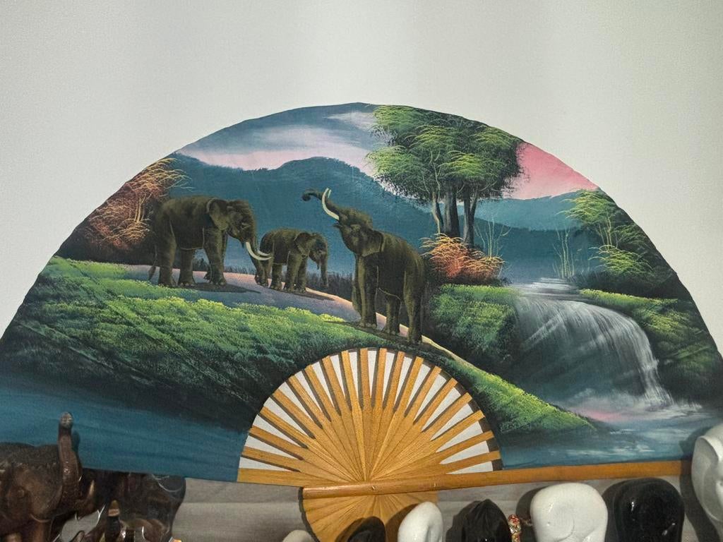 Mooie grote waaier, Enlèvement