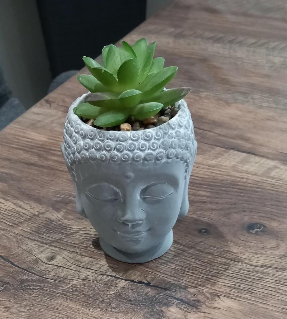 Posture Bouddhiste, Enlèvement, Comme neuf