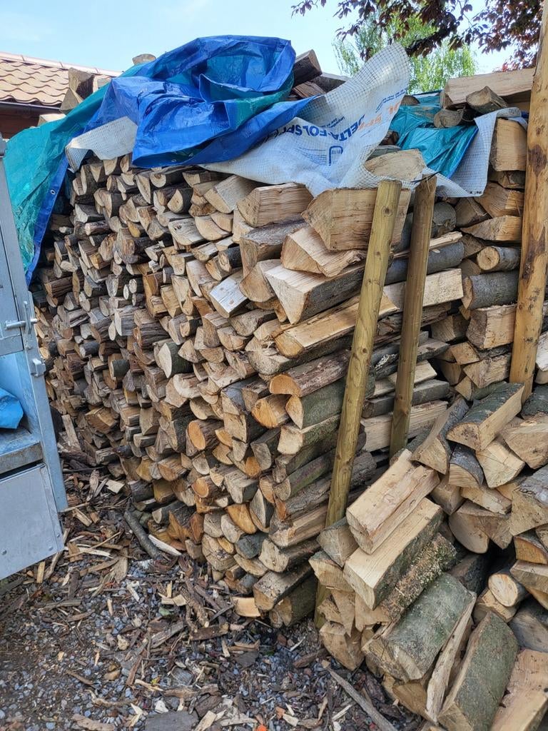 Bois de chauffage 30 40 cm, Jardin & Terrasse, Bois de chauffage, Enlèvement, Hêtre