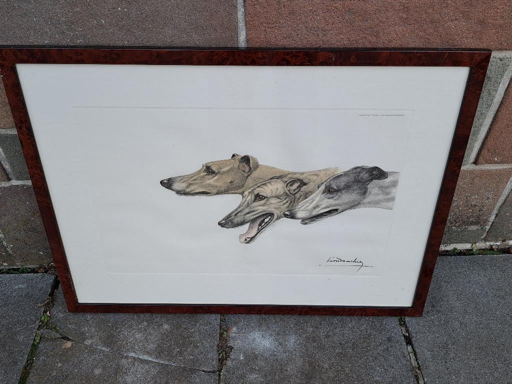 gravure les 3 levriers signe leon danchin, Ophalen of Verzenden