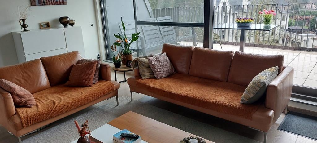 Lederen salon nubuck, Enlèvement