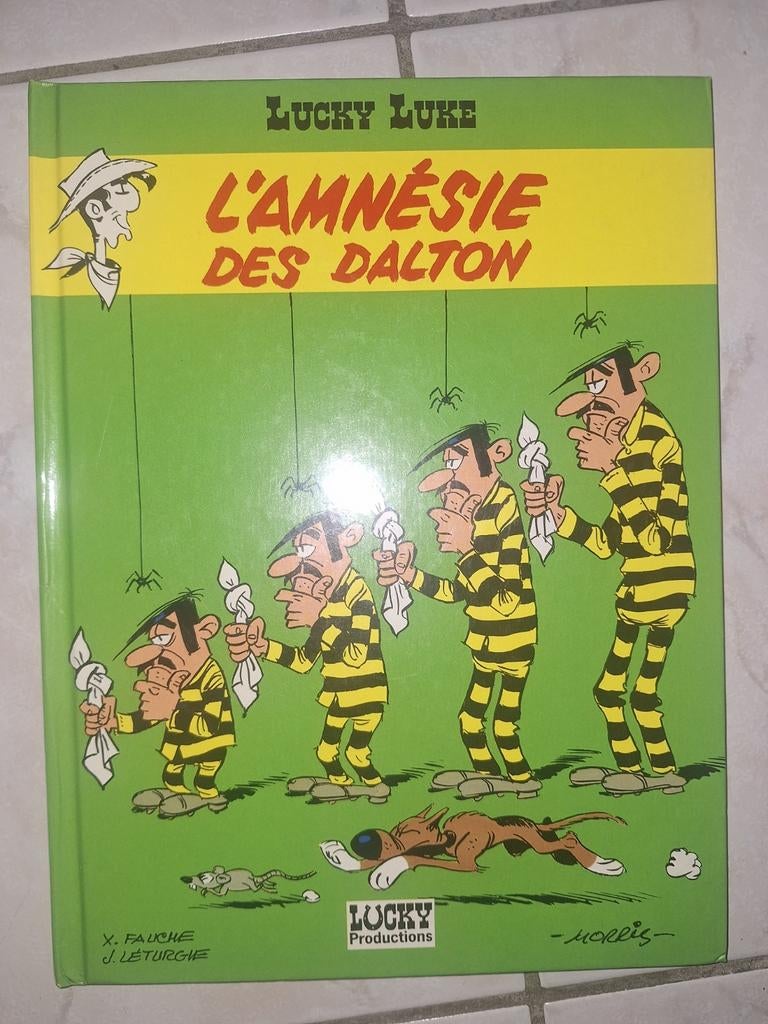 Lucky Luke L'Amnésie des Dalton 1991, Livres, Une BD, Comme neuf