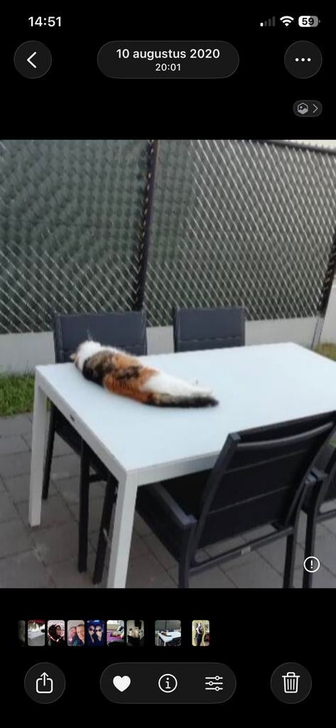 Tuin tafel, Jardin & Terrasse, Enlèvement, Comme neuf