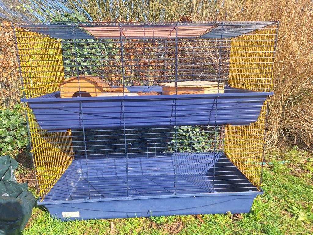 Caviakooien, Enlèvement, Utilisé, Cage, Cobaye