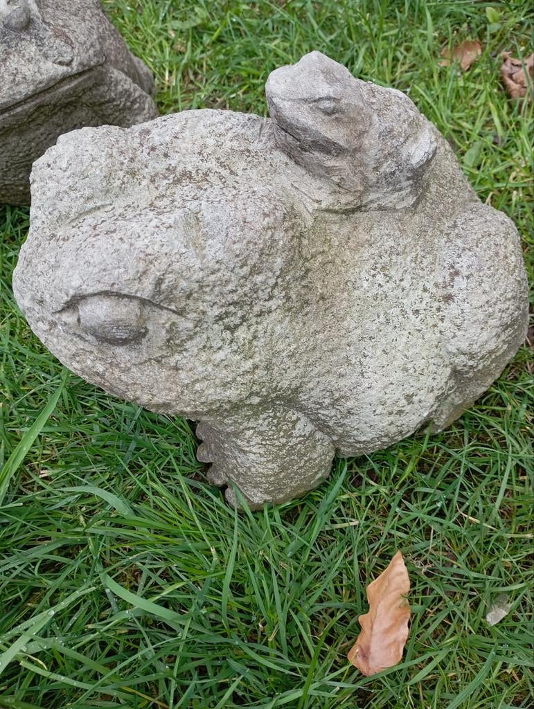 Grote Betonnen  Kikker  met Kikkertje op de Rug, Ophalen, Zo goed als nieuw, Beton, Dierenbeeld