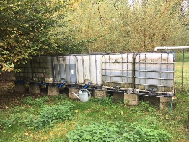 Cubi de 1000 L, Jardin & Terrasse, Barils de pluie, 150 litres ou plus, Synthétique, Enlèvement, Utilisé