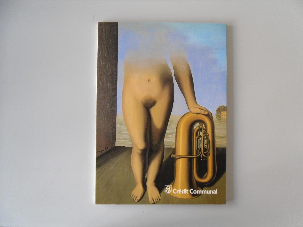 Du Réalisme au Surréalisme en Belgique, Ophalen of Verzenden, Gelezen, Schilder- en Tekenkunst