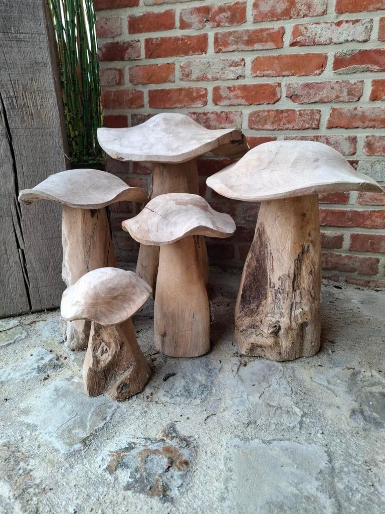 Paddestoelen in TEAK hout! Set van 5 stuks! Decoratief TOP, Tuin en Terras, Ophalen