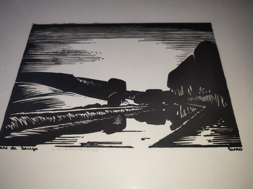 Marc Debruyn ( Aalst) - lino nr 5 van 50, Antiquités & Art, Art | Lithographies & Sérigraphies, Enlèvement ou Envoi