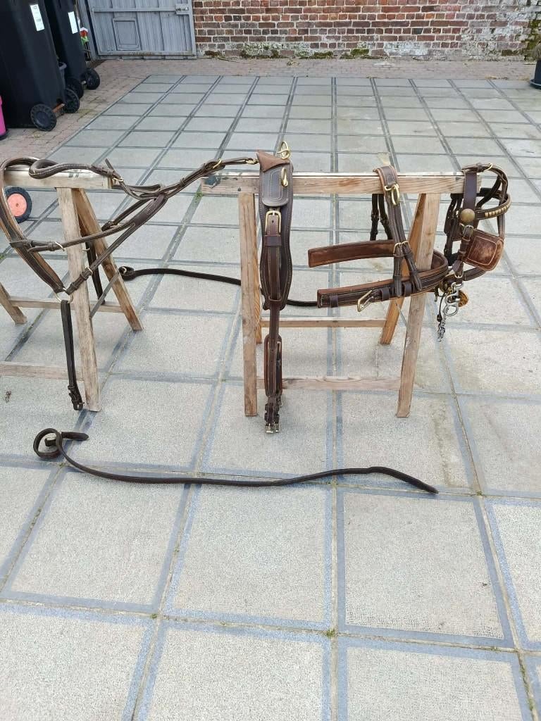 Tuig, shetlander, Dieren en Toebehoren, Ophalen, Gebruikt, Recreatie