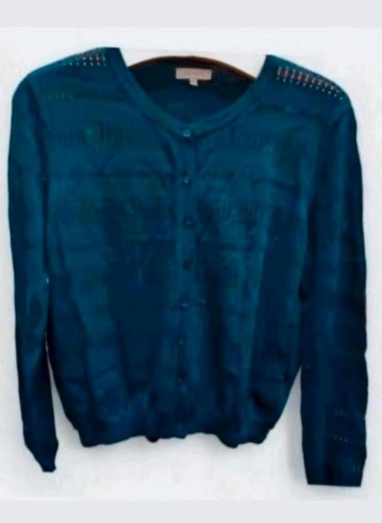 ✨️BEL&BO Gehaakt vest Maat L - Met BUNDELKORTING‼️✨️, Kleding | Dames, Truien en Vesten, Blauw, Ophalen of Verzenden, Zo goed als nieuw