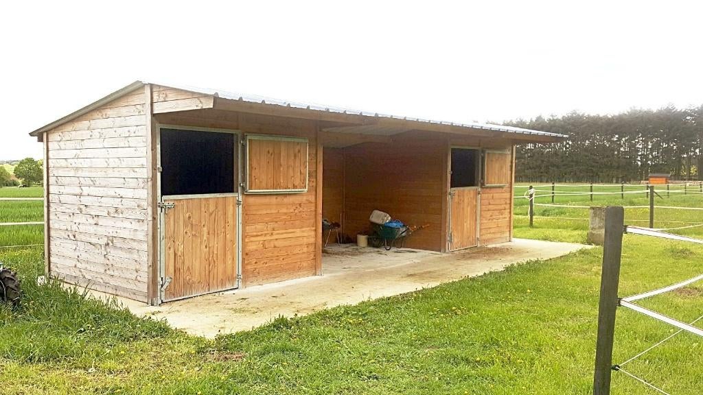 Écurie/abri/écurie pour chevaux Douglas (3x3) 3., Mise à l'étable, 2 ou 3 chevaux ou poneys