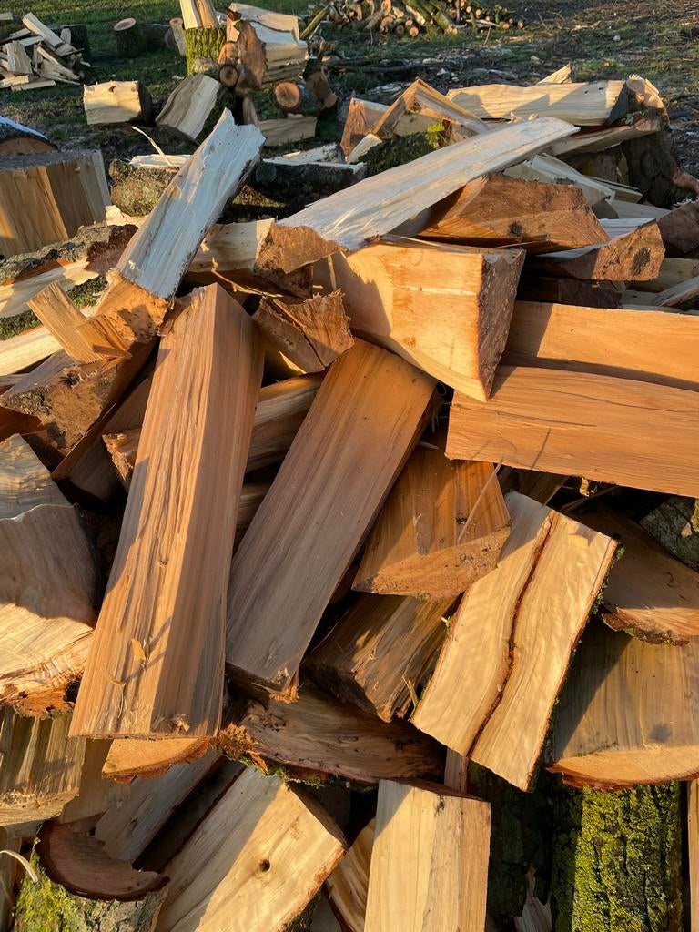 Brandhout Vers gestapelde kubieke meter, Ophalen of Verzenden