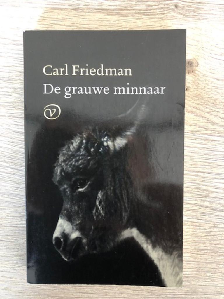 De grauwe minnaar - Carl Friedman, Livres, Littérature, Comme neuf, Belgique, Enlèvement ou Envoi
