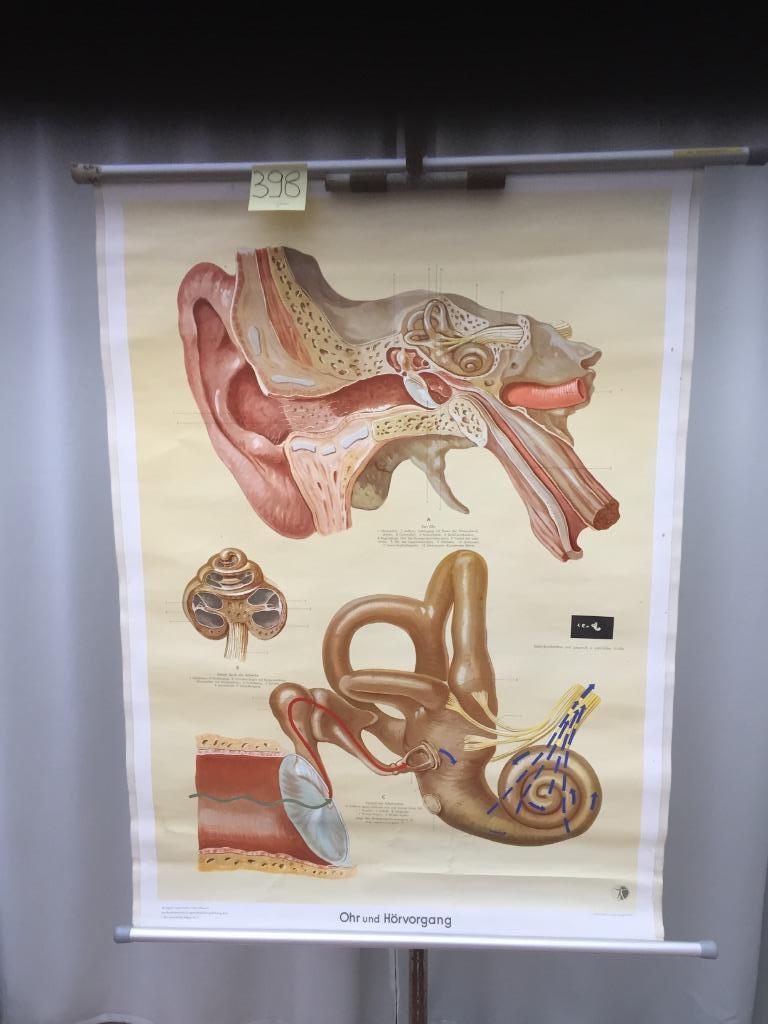 Carte scolaire rétro - Orgue auditif - carte 398(-20% !), Enlèvement ou Envoi, Utilisé