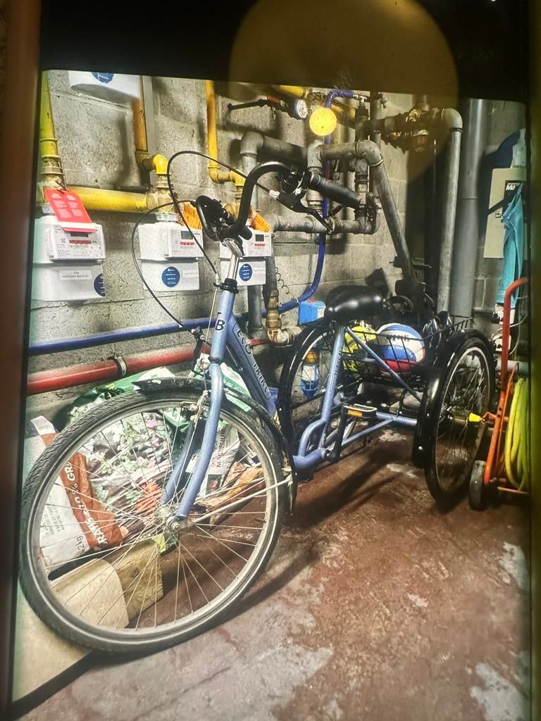 Eco trike, Vélos & Vélomoteurs, Enlèvement, Comme neuf