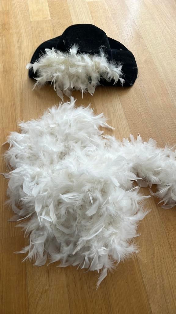 Boa et chapeau avec plumes, Vêtements | Femmes, Enlèvement, Comme neuf