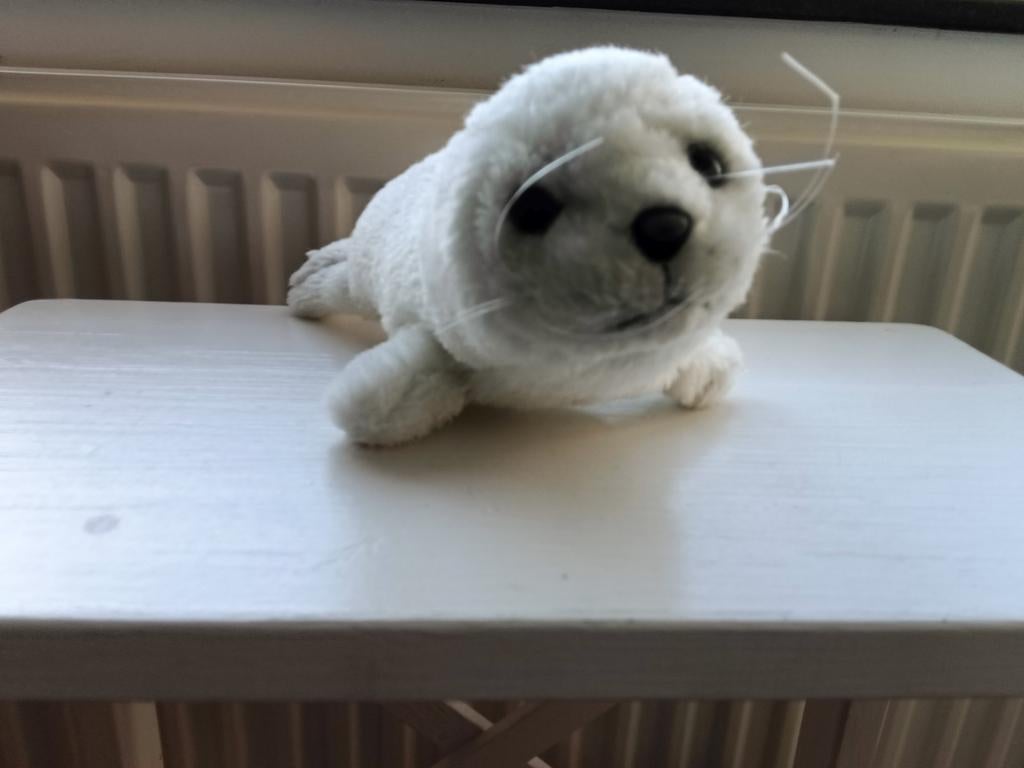 Knuffel baby-zeehond (KN1/3), Kinderen en Baby's, Speelgoed | Knuffels en Pluche, Ophalen of Verzenden, Zo goed als nieuw, Overige typen