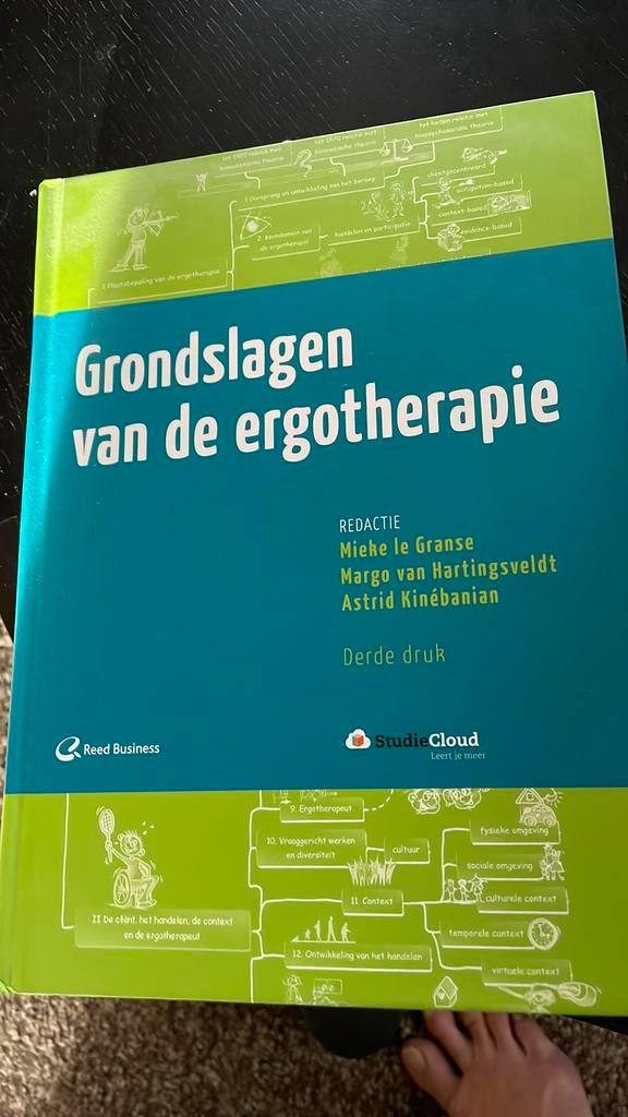 Grondslagen van de ergotherapie, Boeken, Ophalen of Verzenden, Zo goed als nieuw