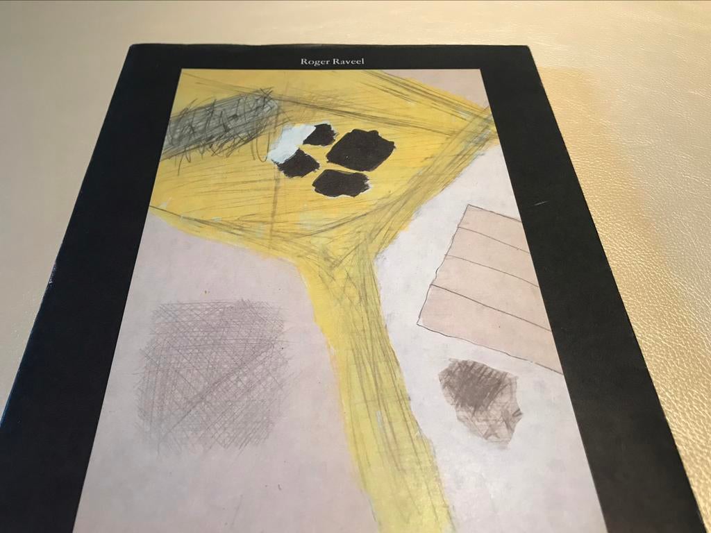 Roger Raveel Tekeningen 100pag, Ophalen of Verzenden, Zo goed als nieuw, Schilder- en Tekenkunst