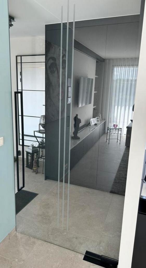 NIEUWE glazen deur, 215 cm of meer, Binnendeur, Nieuw, Glas