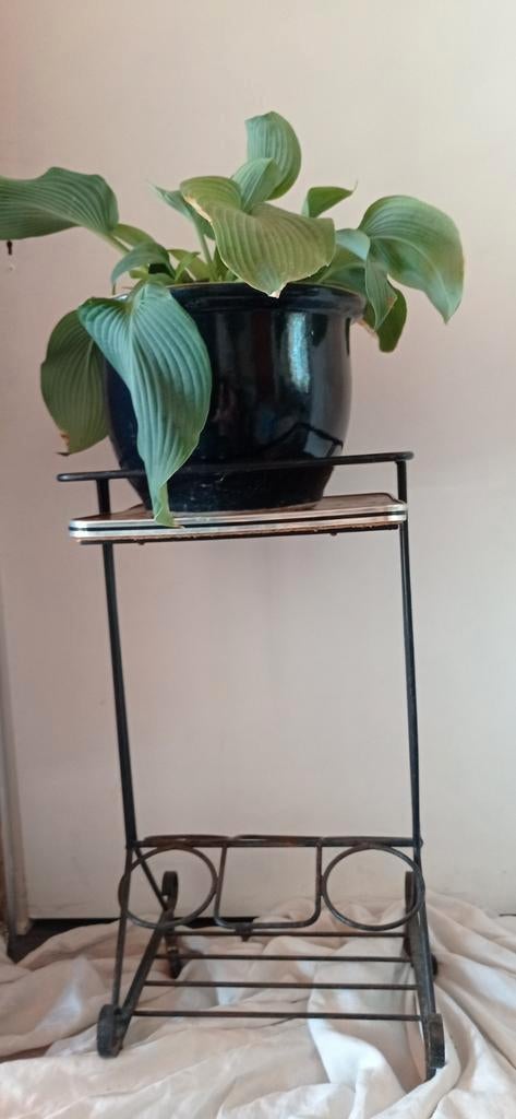 Table vintage  sur roulettes fer forgé terrasse, Enlèvement