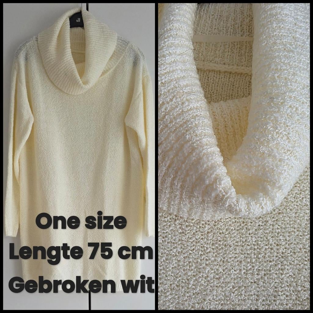 Trui NIEUW ‼️, Vêtements | Femmes, Pulls & Gilets, Enlèvement ou Envoi, Neuf