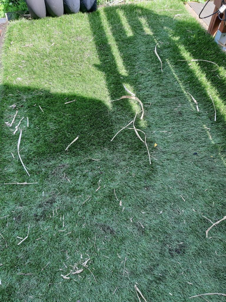 Kunstgras kwalitatief ( gratis), Tuin en Terras, Ophalen of Verzenden, Kunstgras