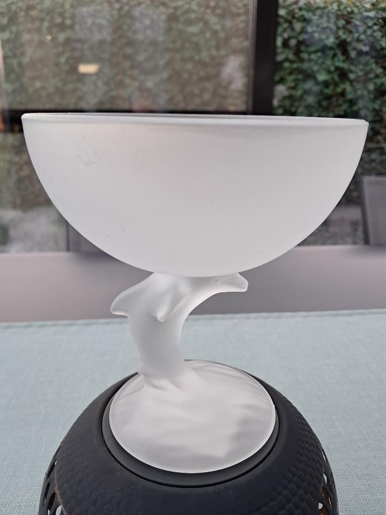 te koop : 6 nieuwe glazen ijscoupes, Verzamelen, Ophalen, Nieuw, Overige typen