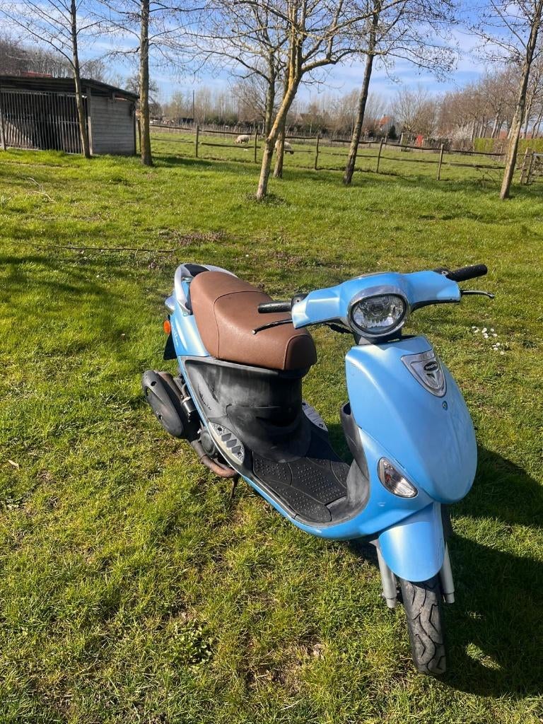 papillone beeline a klasse opknapper, Fietsen en Brommers, Ophalen, Gebruikt, Beeline, Klasse A (25 km/u)