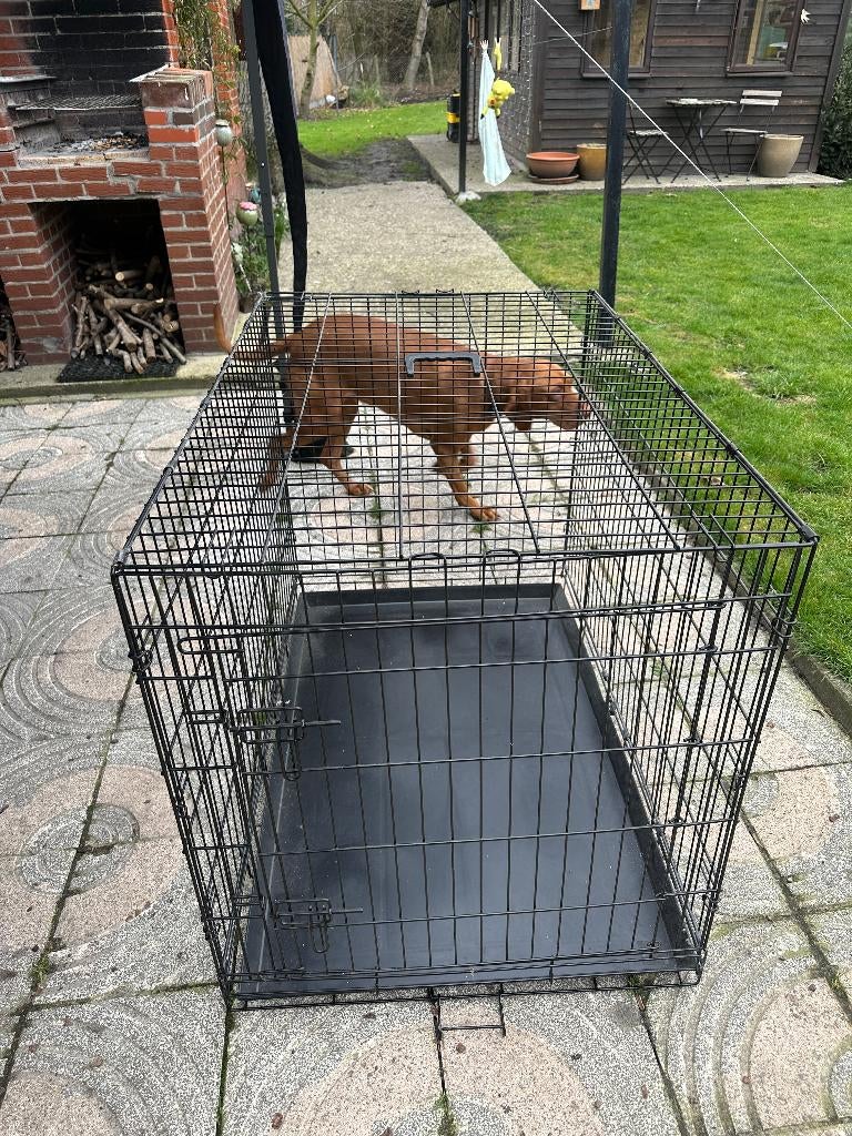 hondenbench xl, Enlèvement, Comme neuf