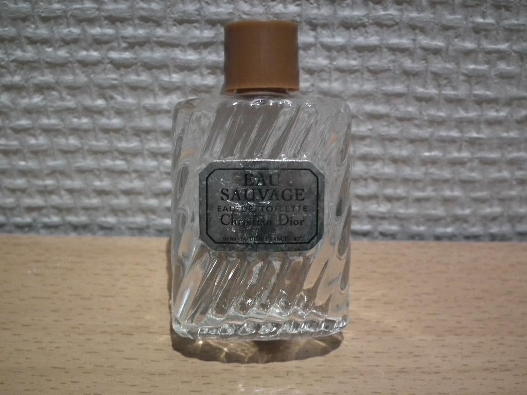 Wild water van Christian Dior (lege miniatuur), Verzenden, Gebruikt, Miniatuur