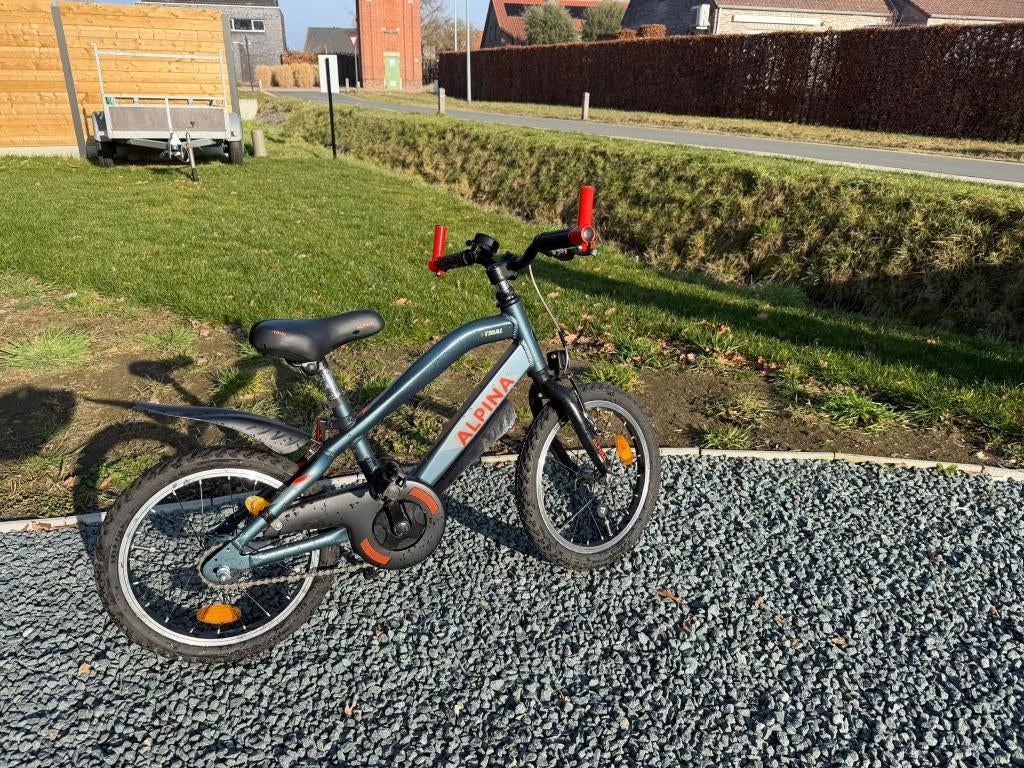 kinderfiets 16 inch Alpina Trial, Ophalen, Zo goed als nieuw, 16 tot 20 inch, Alpina