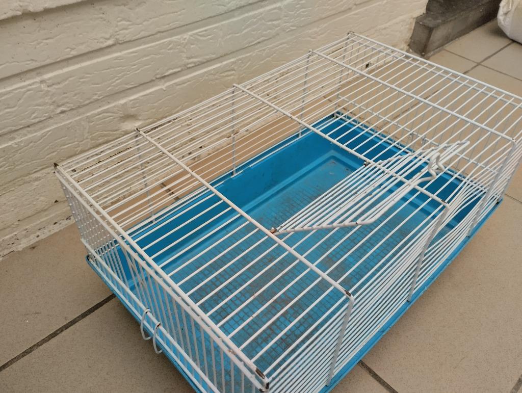Transportbox klein knaagdier, Animaux & Accessoires, Rongeurs & Lapins | Cages & Clapiers, Enlèvement ou Envoi, Utilisé, Cage de voyage ou Boîte de transport