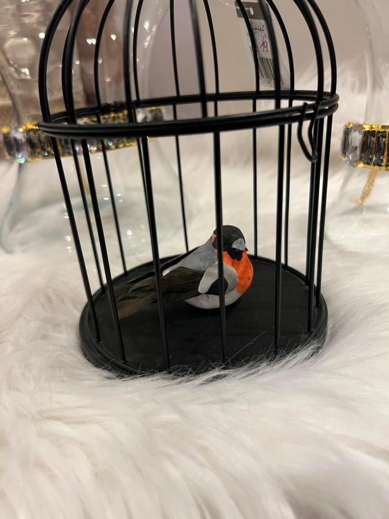 Cage à oiseaux décorative avec oiseau. Nouveau !, Enlèvement ou Envoi, Neuf