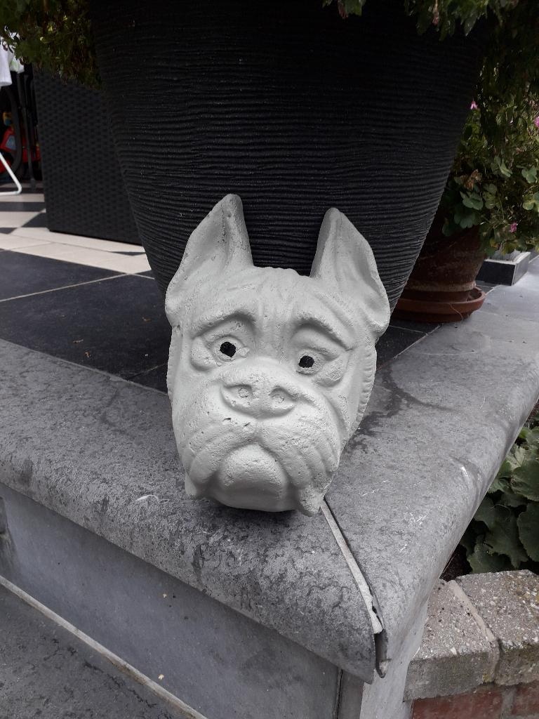 Mooie betonnen kop van hond, Enlèvement, Comme neuf, Béton, Animal